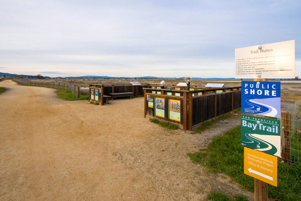 Hamilton novato wetlands SF Bay trail